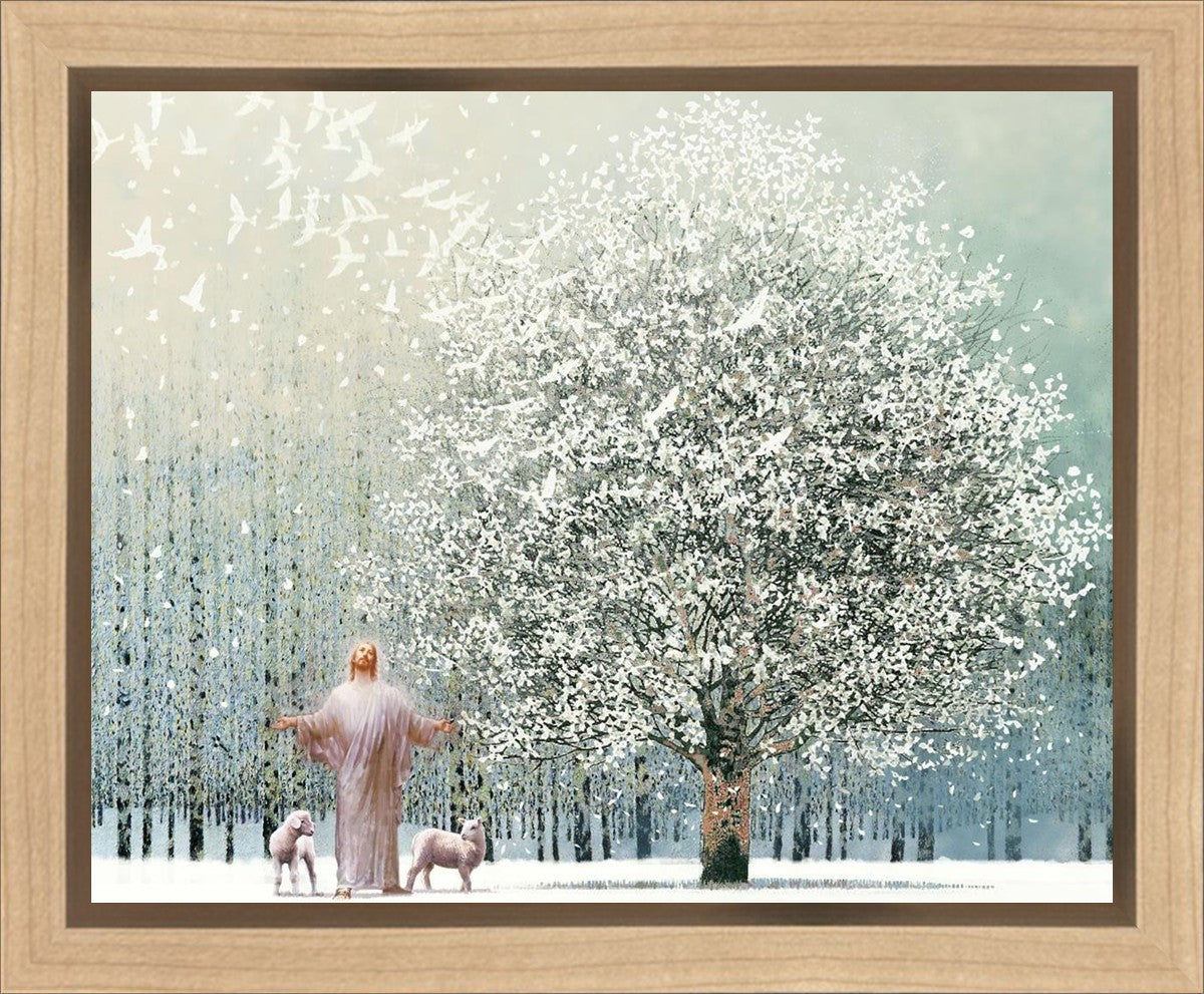 Solitude Gallery Wrap