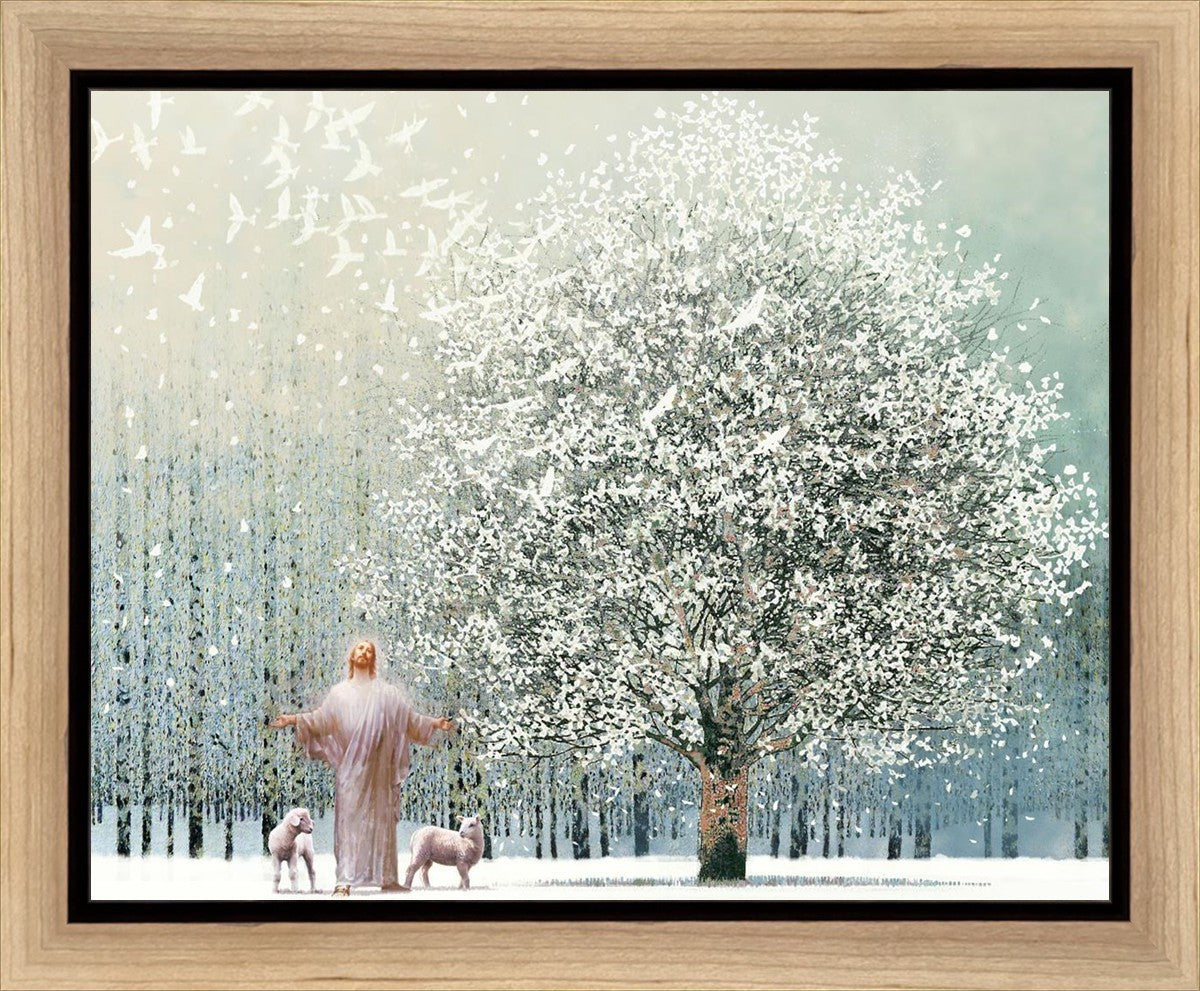 Solitude Gallery Wrap