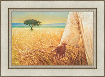 Wheat and Tares
