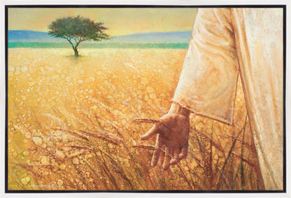 Wheat and Tares