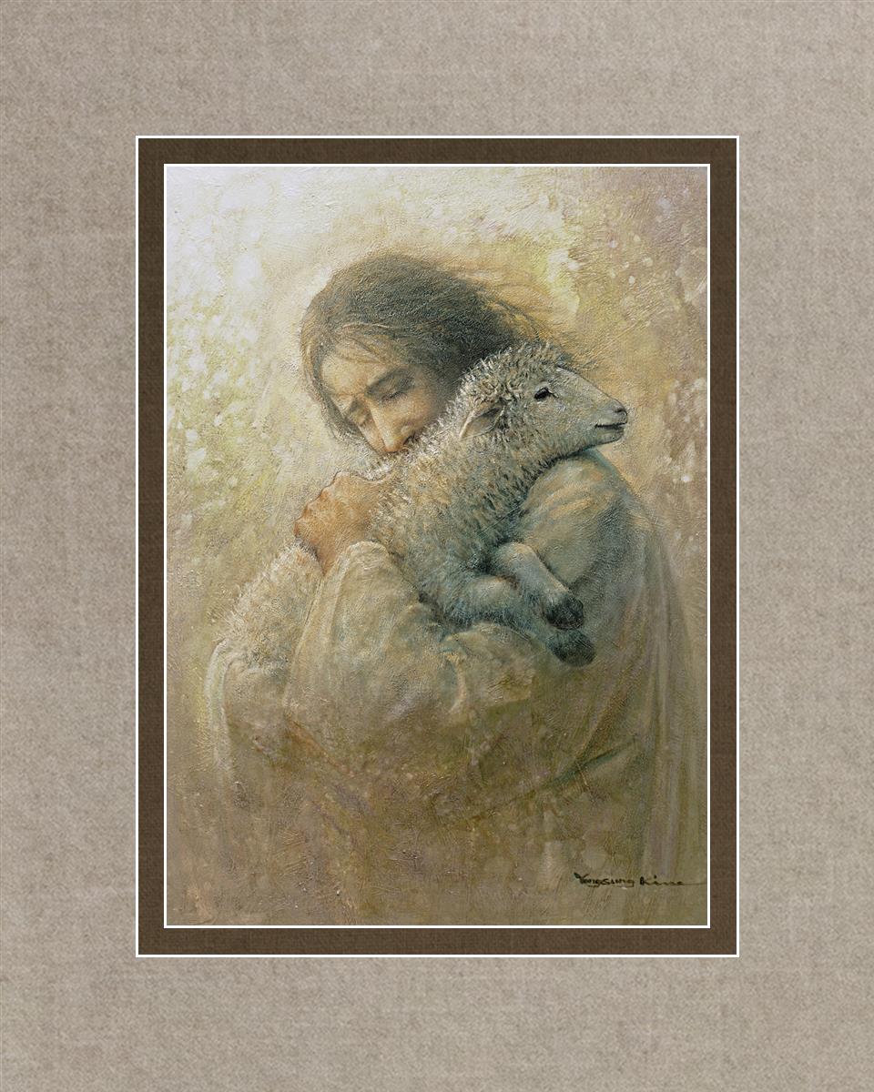 The Shepherd's Care