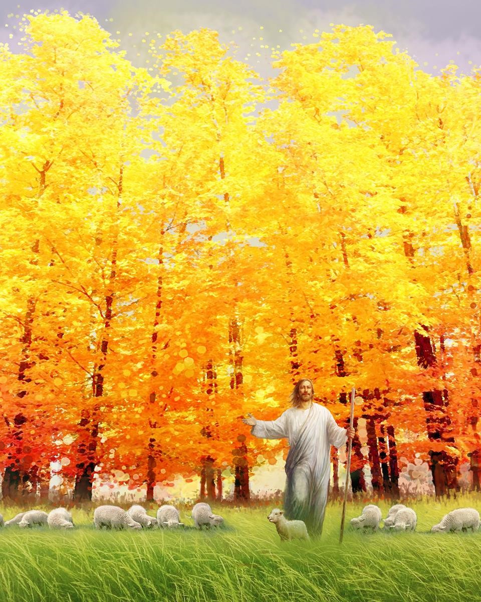 Autumn Breeze Gallery Wrap