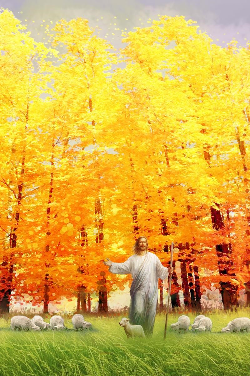 Autumn Breeze Gallery Wrap