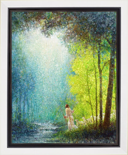 His Guiding Light