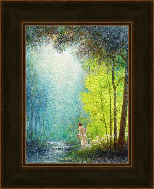 His Guiding Light