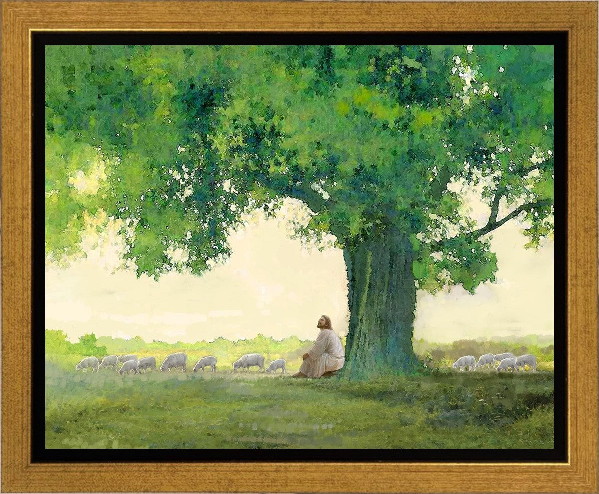Morning Solace Gallery Wrap