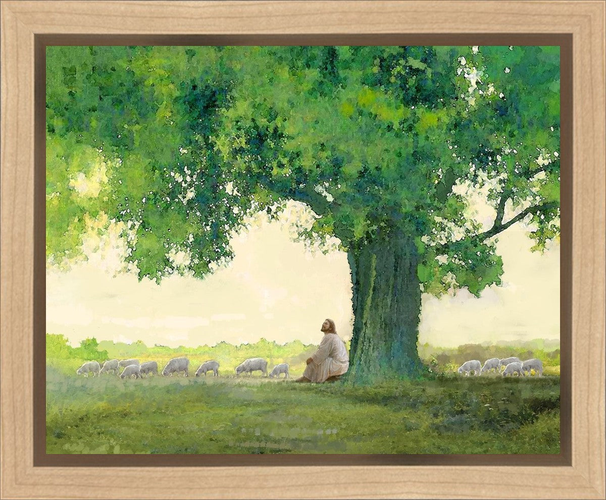 Morning Solace Gallery Wrap