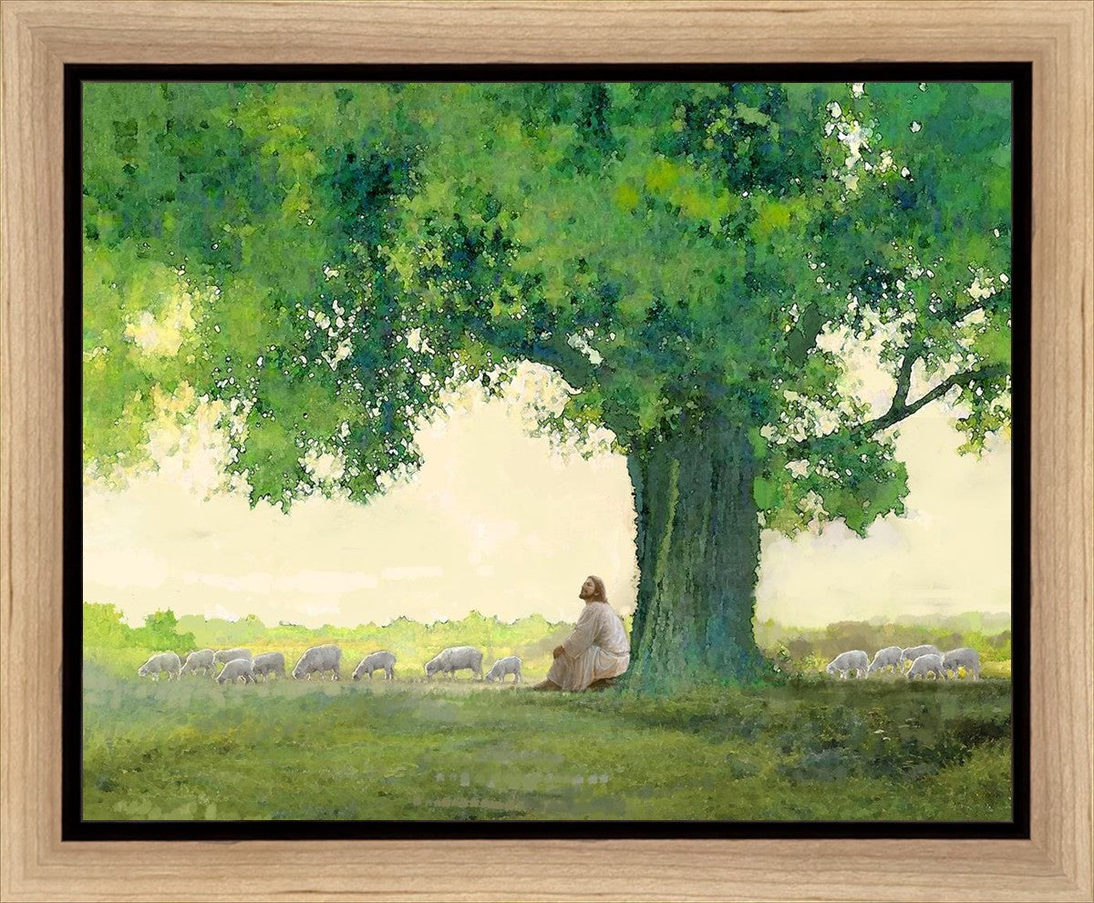 Morning Solace Gallery Wrap