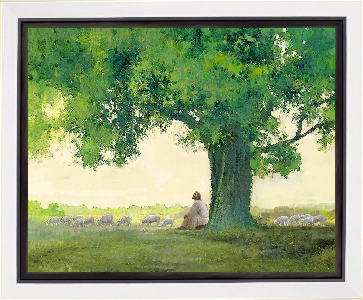 Morning Solace Gallery Wrap