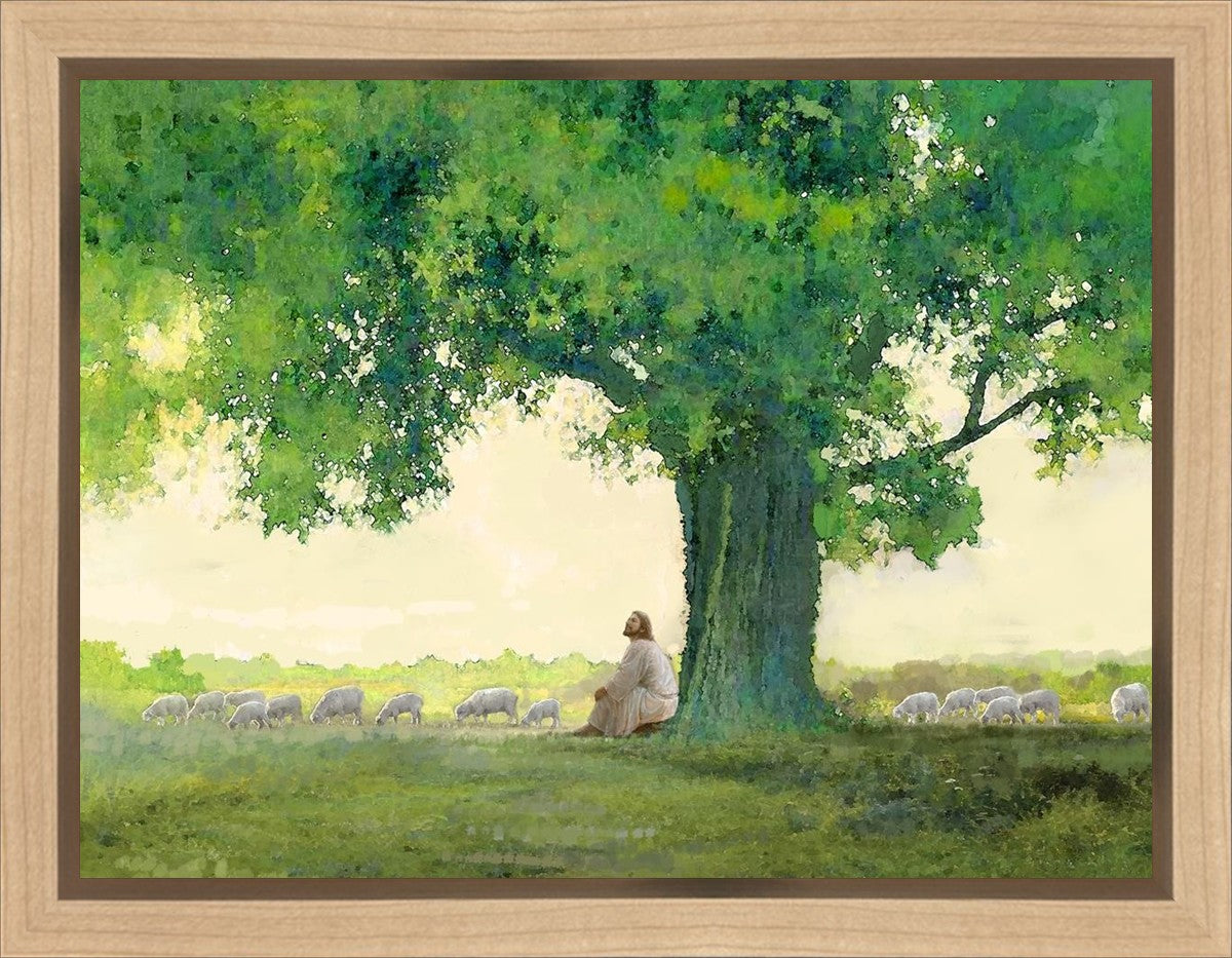 Morning Solace Gallery Wrap