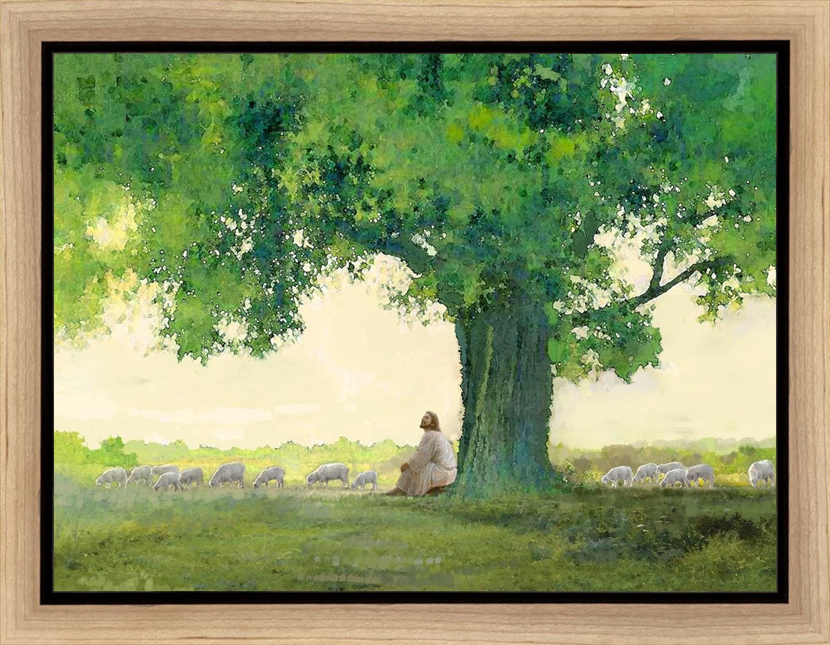 Morning Solace Gallery Wrap