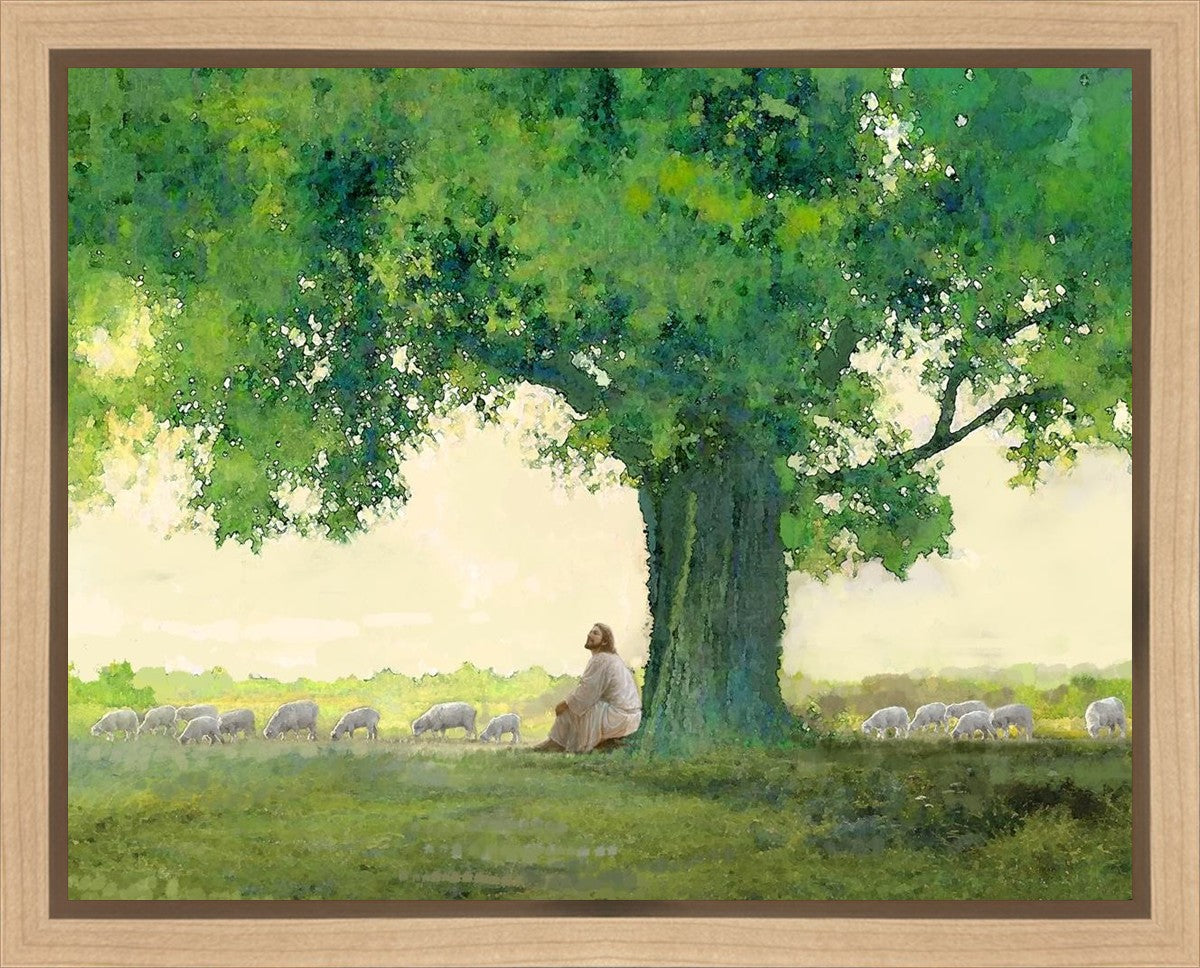Morning Solace Gallery Wrap