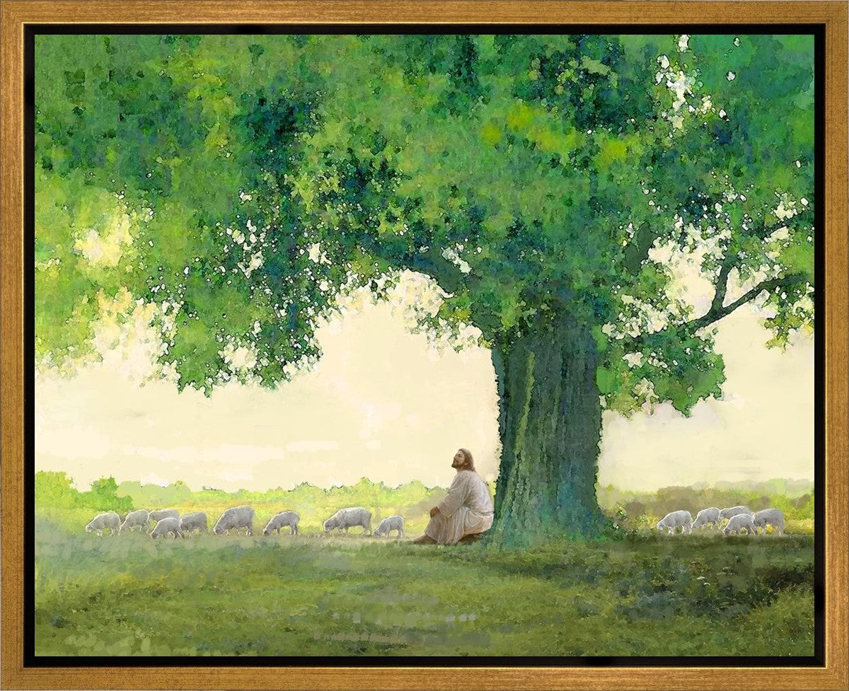 Morning Solace Gallery Wrap