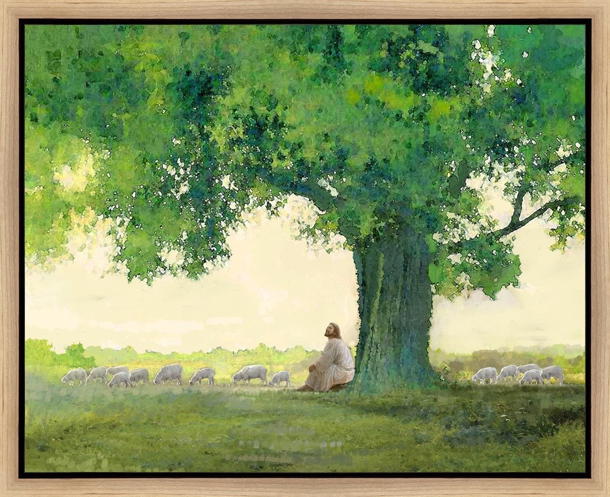 Morning Solace Gallery Wrap