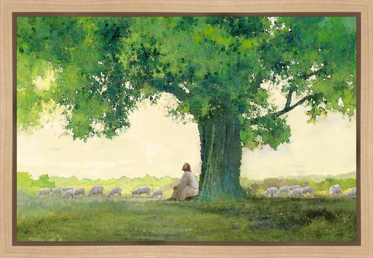 Morning Solace Gallery Wrap
