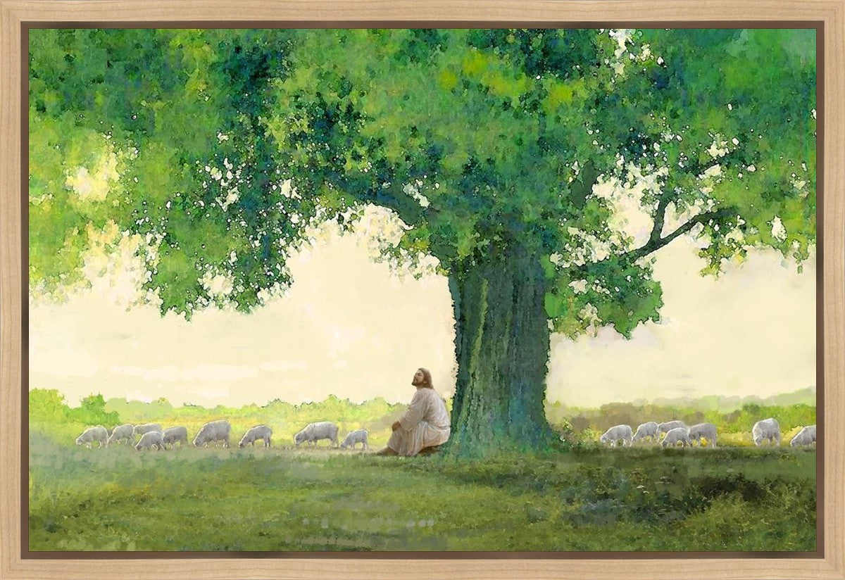 Morning Solace Gallery Wrap