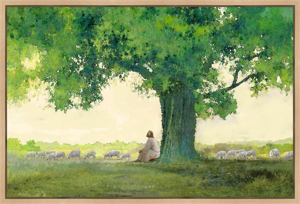 Morning Solace Gallery Wrap