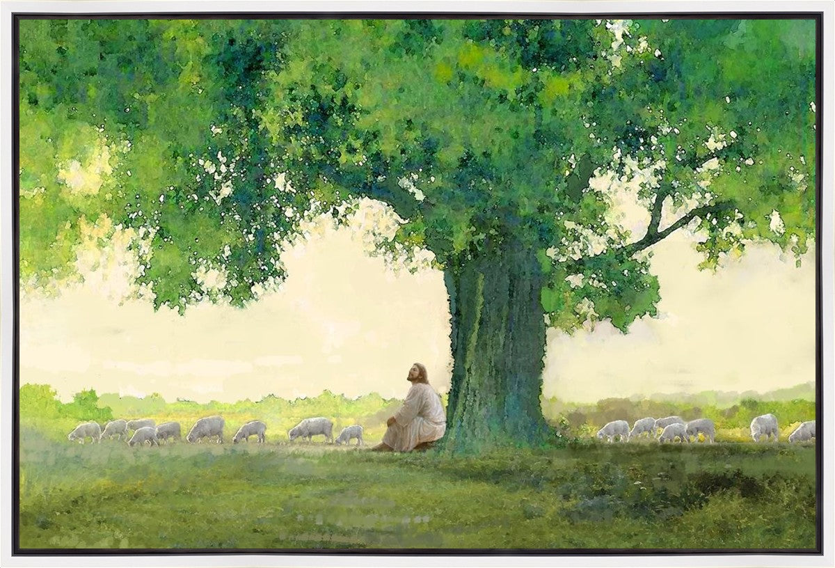 Morning Solace Gallery Wrap
