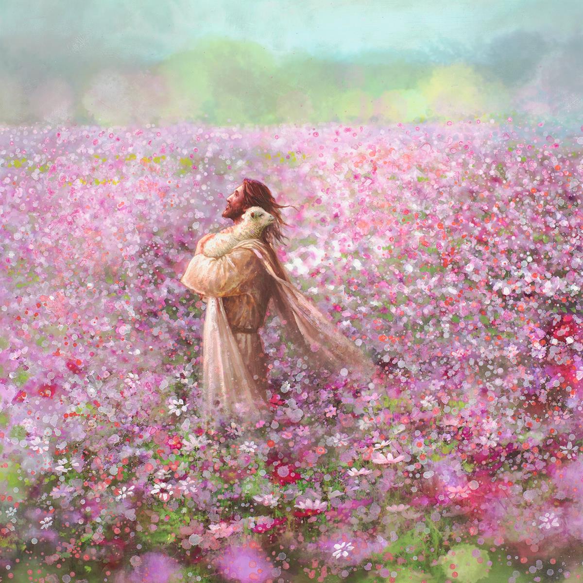 Calming Embrace