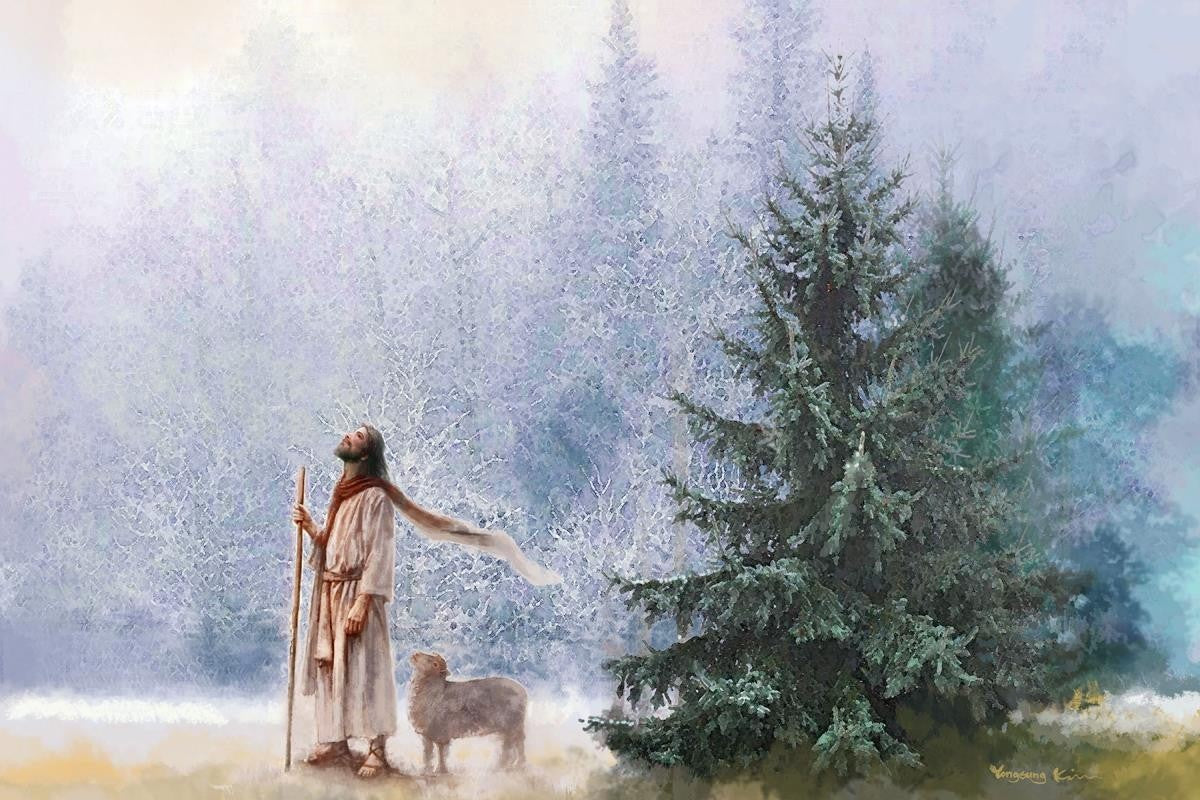 Heavenward Gallery Wrap