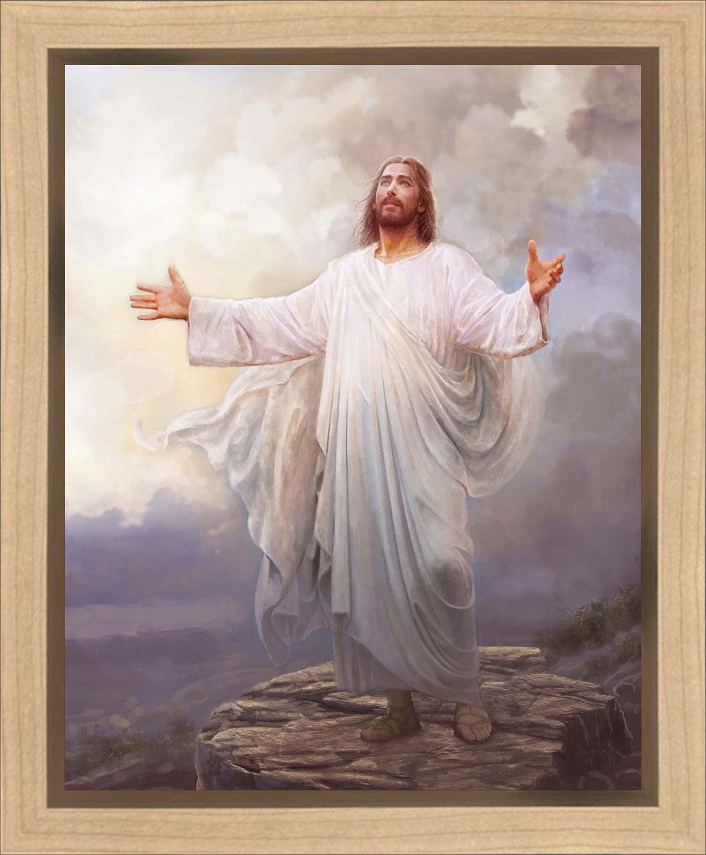 For This Purpose I Have Come