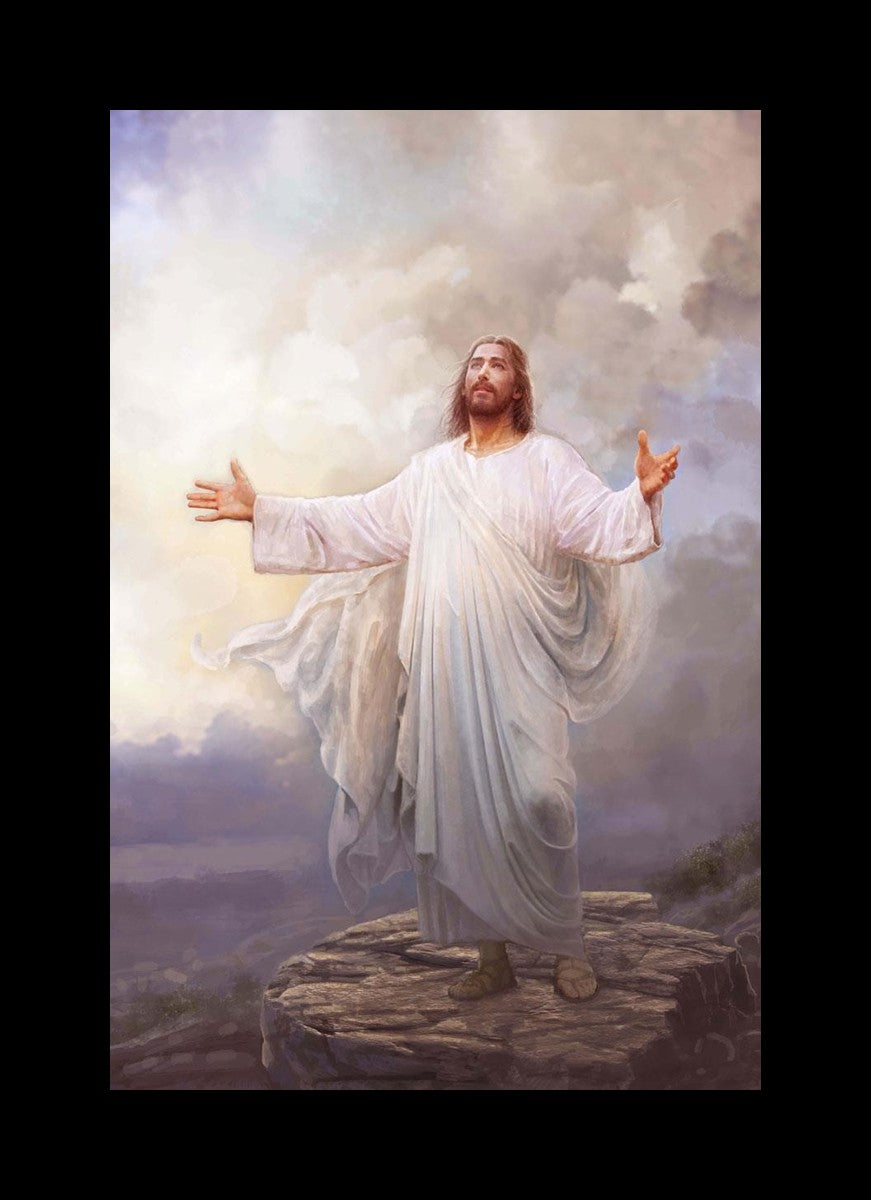 For This Purpose I Have Come