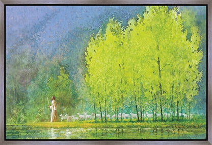 Moment of Peace