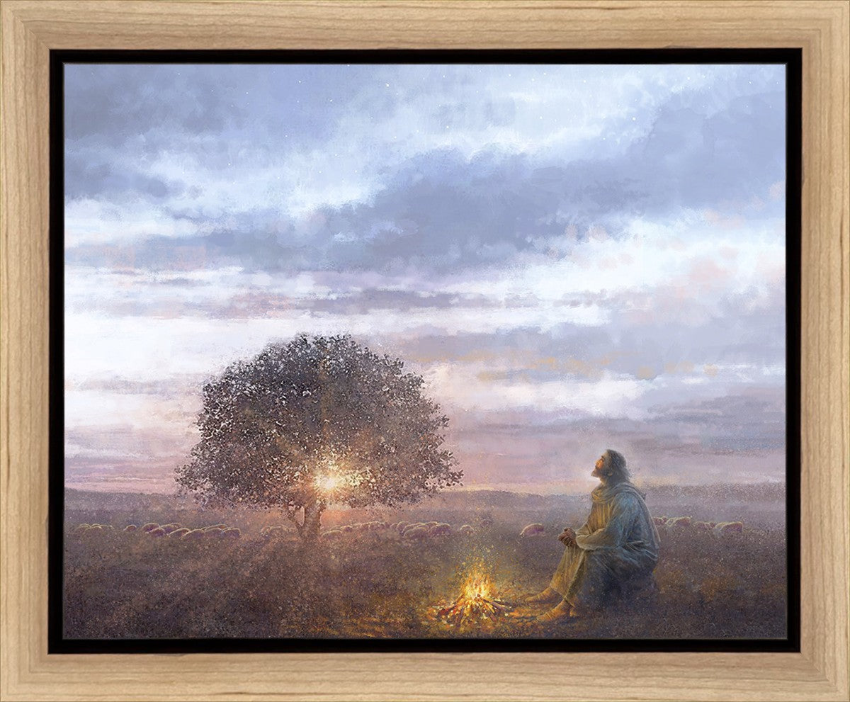 The Light of Life Gallery Wrap
