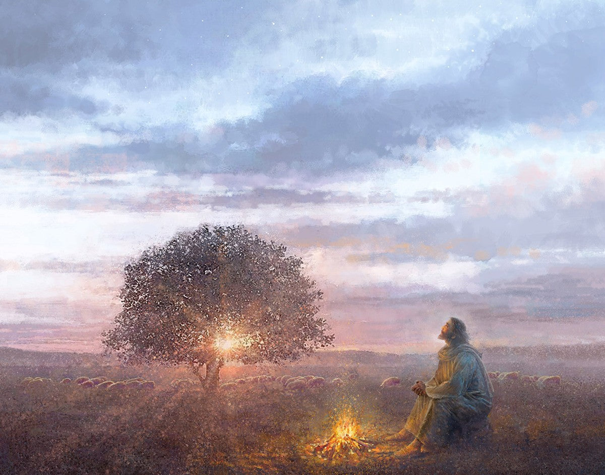 The Light of Life Gallery Wrap
