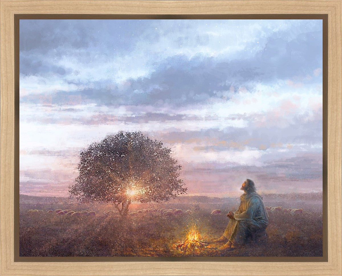 The Light of Life Gallery Wrap