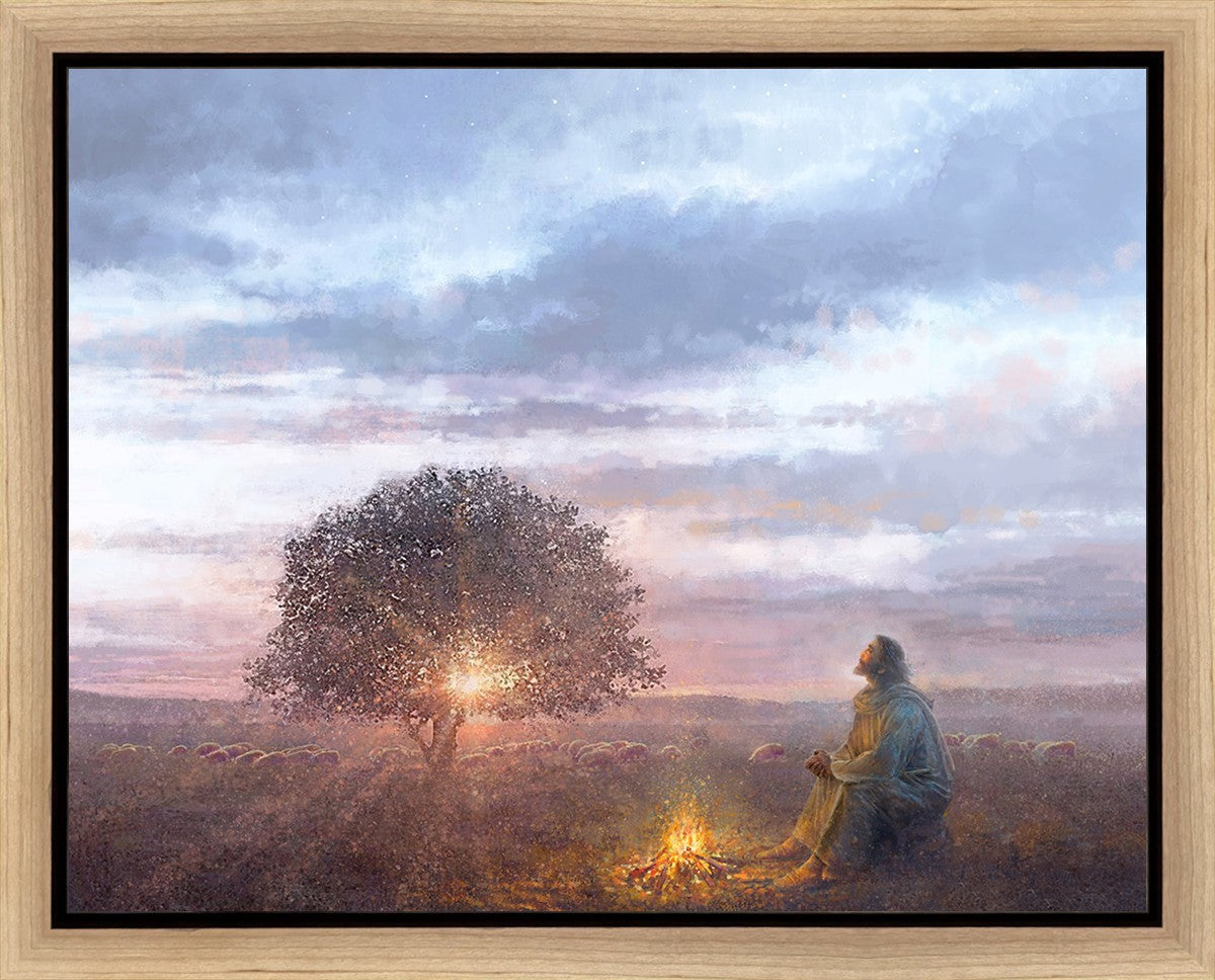 The Light of Life Gallery Wrap