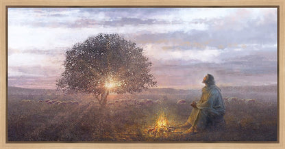 The Light of Life
