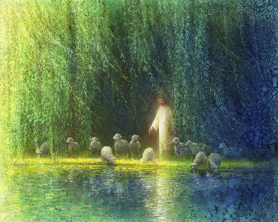 Among the Willows Gallery Wrap