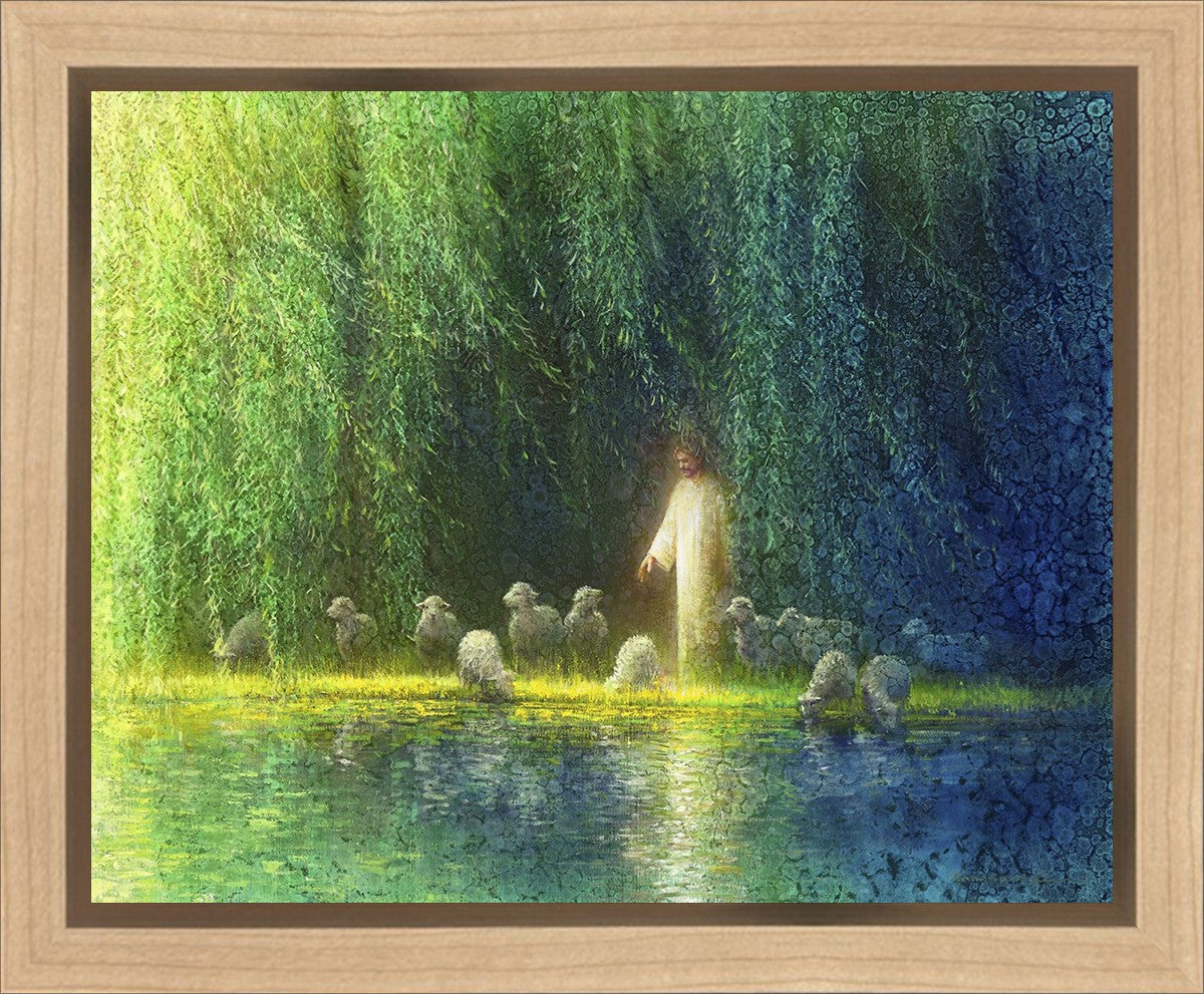 Among the Willows Gallery Wrap