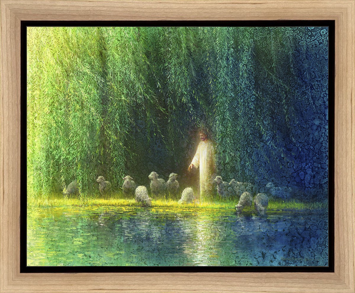 Among the Willows Gallery Wrap
