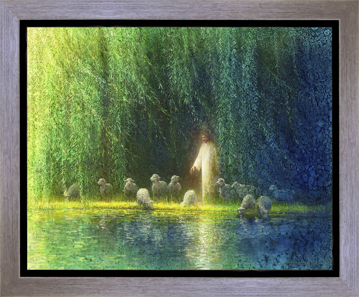 Among the Willows Gallery Wrap