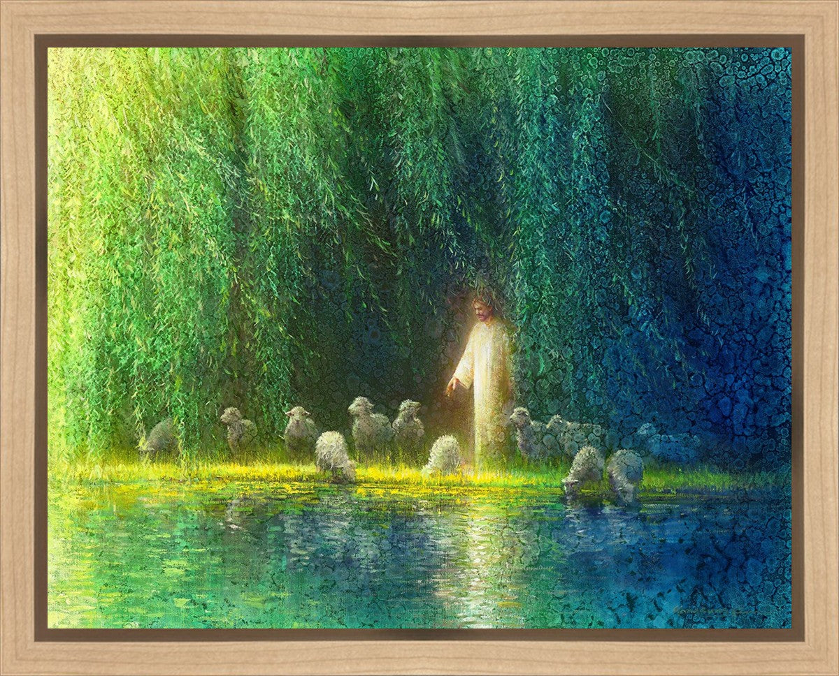 Among the Willows Gallery Wrap