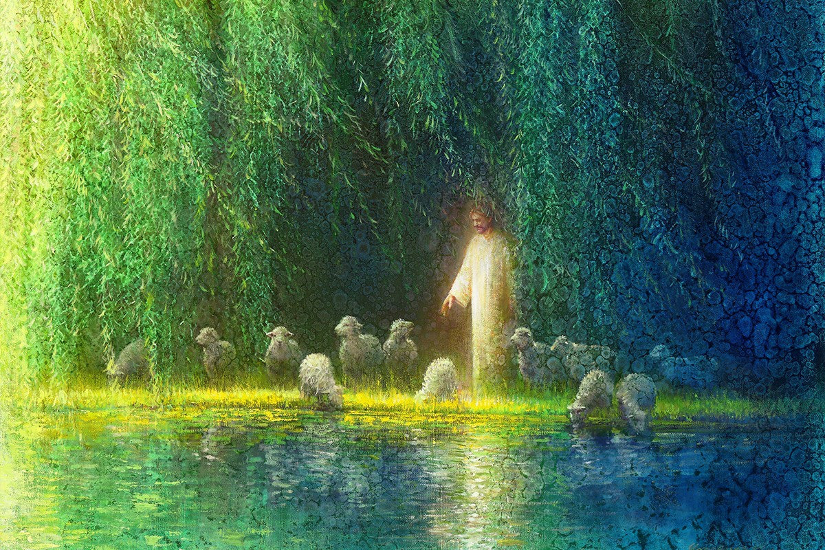 Among the Willows Gallery Wrap