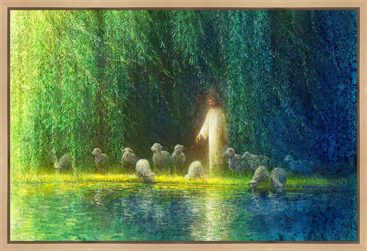Among the Willows Gallery Wrap