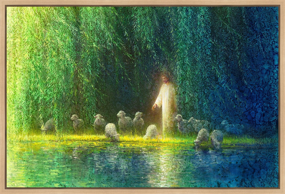 Among the Willows Gallery Wrap