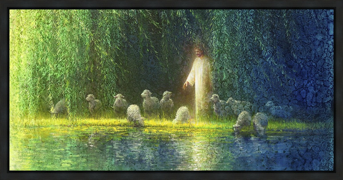 Among the Willows Gallery Wrap