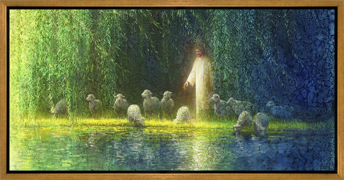 Among the Willows Gallery Wrap