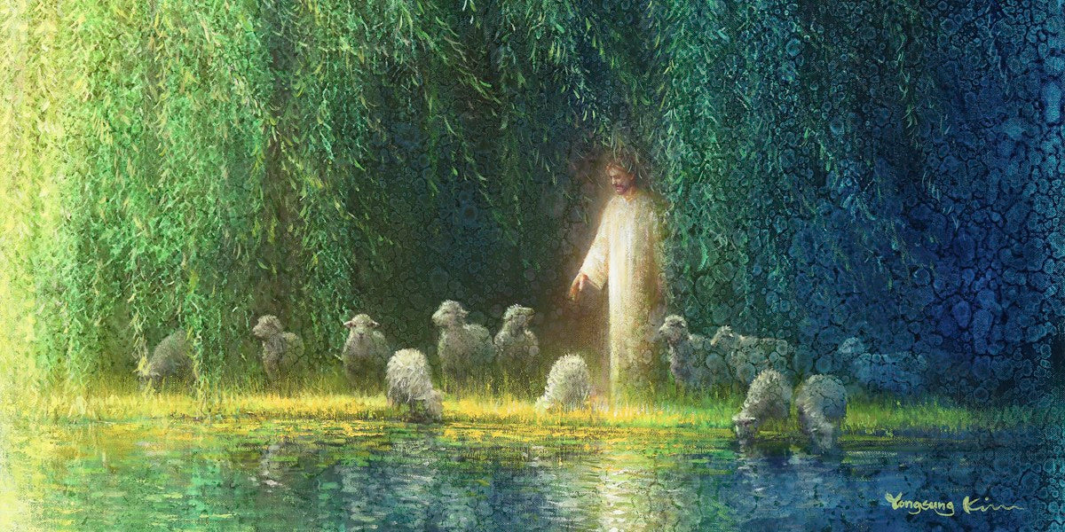 Among the Willows