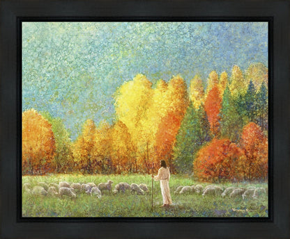Changing Seasons