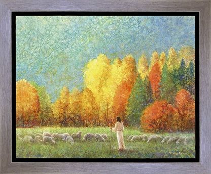 Changing Seasons