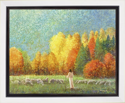 Changing Seasons