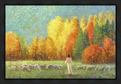 Changing Seasons