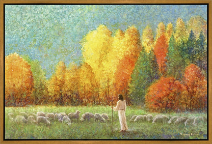 Changing Seasons