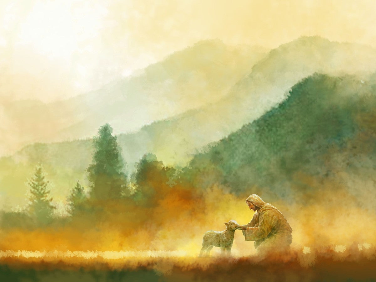 The Lost Sheep Large Wall Art Gallery Wrap