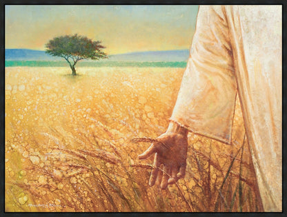 Wheat and Tares